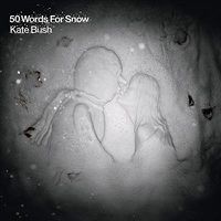 Cover image for 50 Words For Snow