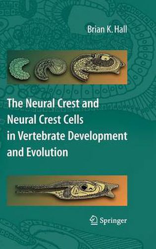 The Neural Crest and Neural Crest Cells in Vertebrate Development and Evolution