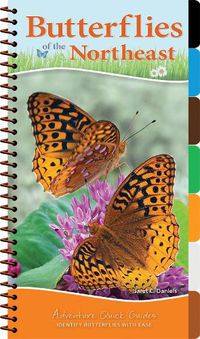 Cover image for Butterflies of the Northeast: Identify Butterflies with Ease