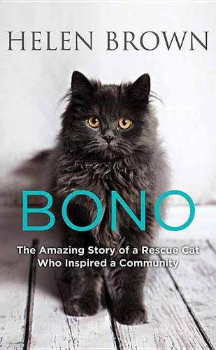 Bono: The Amazing Story of the Rescue Cat Who Inspired a Community