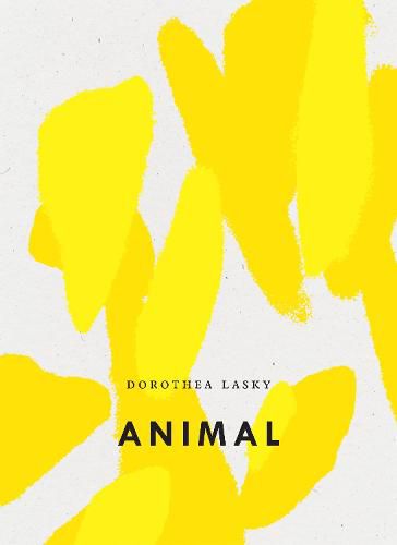 Cover image for Animal