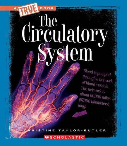 The Circulatory System