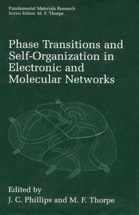 Cover image for Phase Transitions and Self-Organization in Electronic and Molecular Networks