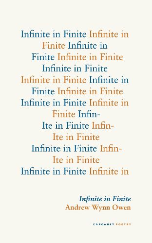 Cover image for Infinite in Finite