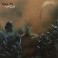 Cover image for Katy Lied