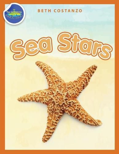 Cover image for Sea Stars Activity Workbook ages 4-8