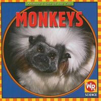 Cover image for Monkeys