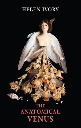 Cover image for The Anatomical Venus