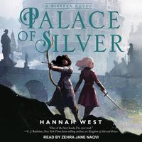 Cover image for Palace of Silver
