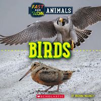 Cover image for Fast and Slow: Birds (Wild World)