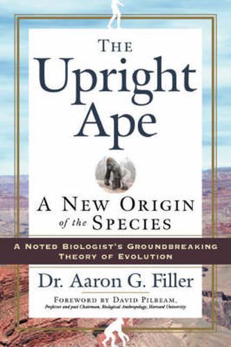 Cover image for The Upright Ape: A New Origin of the Species