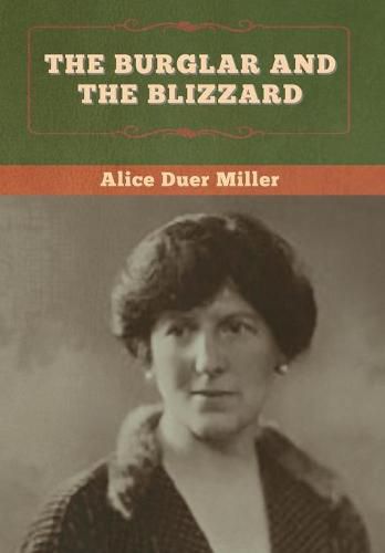 Cover image for The Burglar and the Blizzard