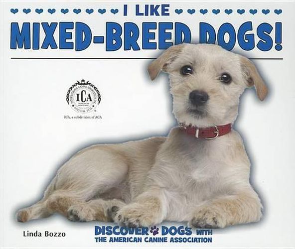 I Like Mixed-Breed Dogs!