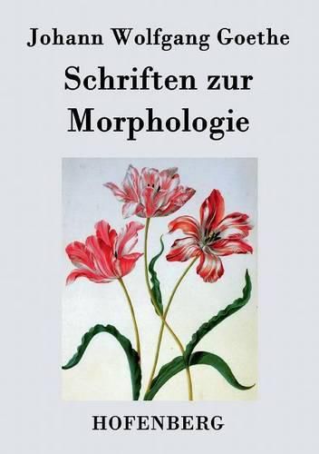 Cover image for Schriften zur Morphologie
