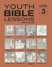 Cover image for Youth Bible Lessons Level 3