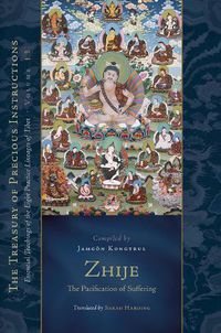 Cover image for Zhije: The Pacification of Suffering: Essential Teachings of the Eight Practice Lineages of Tibet, Volume 13