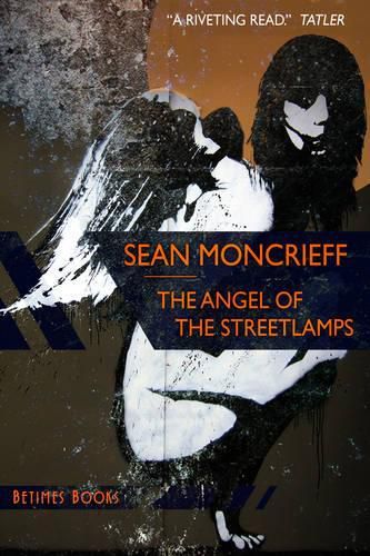 Cover image for The Angel of the Streetlamps