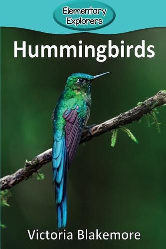 Hummingbirds