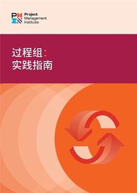 Cover image for Process Groups (Simplified Chinese Edition)