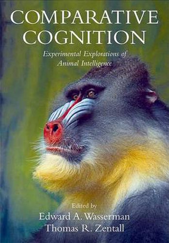 Cover image for Comparative Cognition: Experimental Explorations of Animal Intelligence