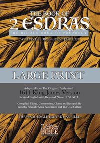 Cover image for 2nd Esdras