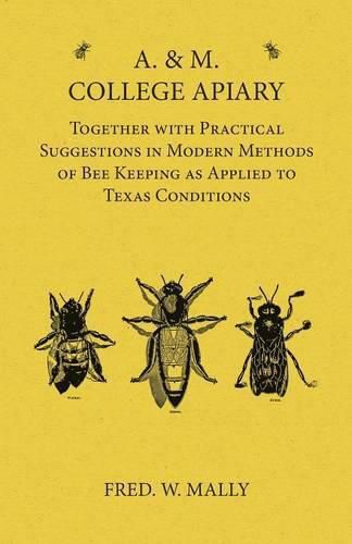 Cover image for A. & M. College Apiary - Together with Practical Suggestions in Modern Methods of Bee Keeping as Applied to Texas Conditions