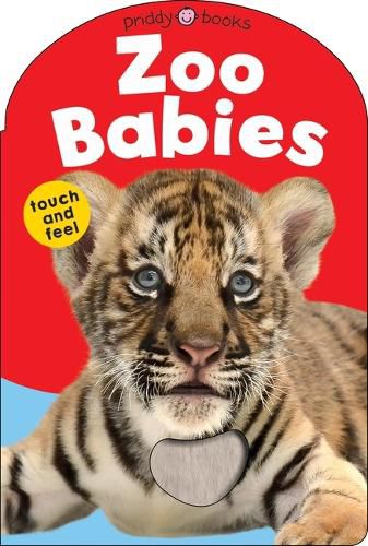 Cover image for Baby Touch & Feel: Zoo Babies