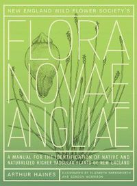 Cover image for New England Wild Flower Society's Flora Novae Angliae: A Manual for the Identification of Native and Naturalized Higher Vascular Plants of New England