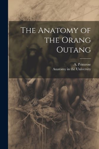 Cover image for The Anatomy of the Orang Outang