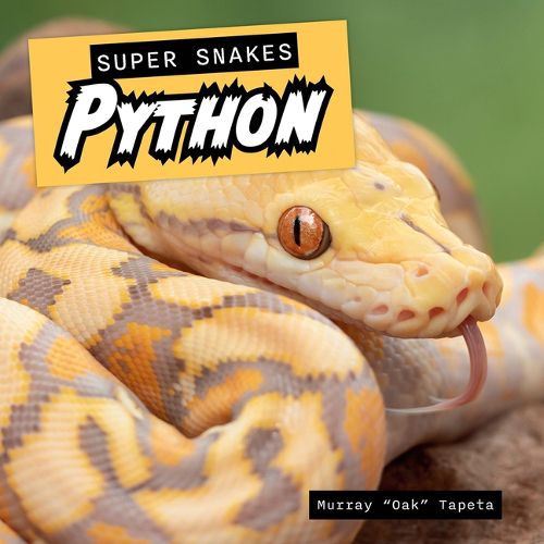 Cover image for Python