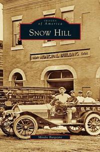 Cover image for Snow Hill