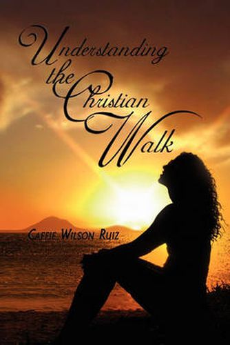 Cover image for Understanding the Christian Walk