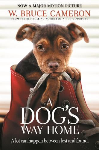 Cover image for A Dog's Way Home