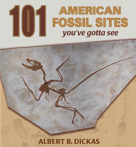 Cover image for 101 American Fossil Sites