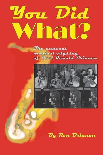 Cover image for You Did What?