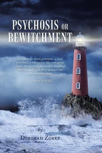 Cover image for Psychosis or Bewitchment