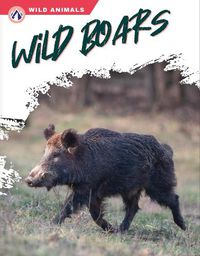 Cover image for Wild Boars