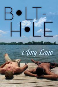 Cover image for Bolt-hole