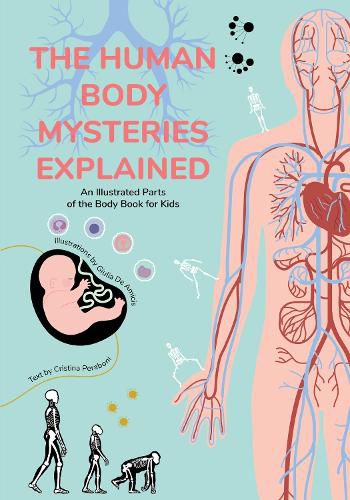 Cover image for The Human Body Mysteries Explained: An Illustrated Parts of the Body Book for Kids