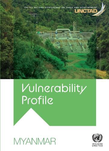 Vulnerability profile