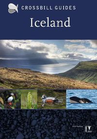 Cover image for Iceland