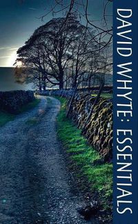 Cover image for David Whyte Essentials