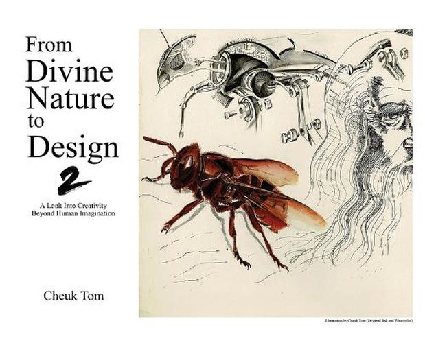 Cover image for From Divine Nature to Design 2: A Look Into Creativity Beyond Human Imagination