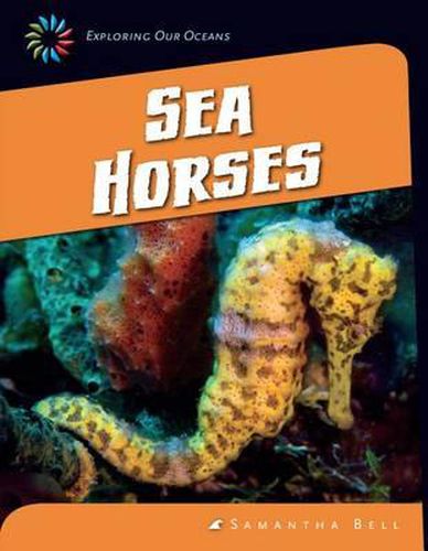 Cover image for Sea Horses