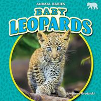 Cover image for Baby Leopards