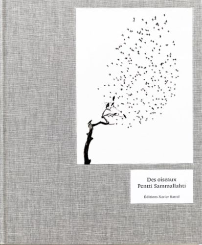 Cover image for Pentti Sammallahti - Des Oiseaux