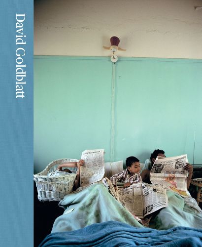 Cover image for David Goldblatt