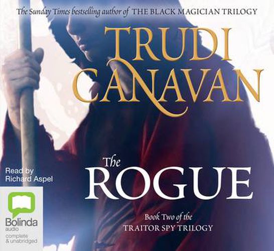 Cover image for The Rogue