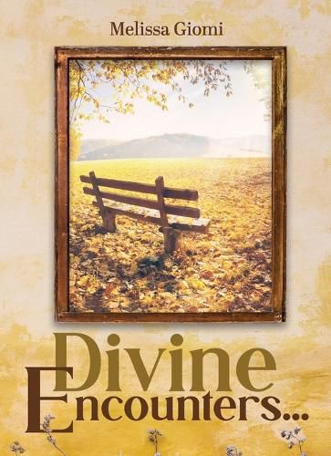 Cover image for Divine Encounters...