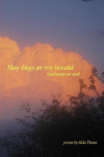 Cover image for many things are very beautiful (and many are not)